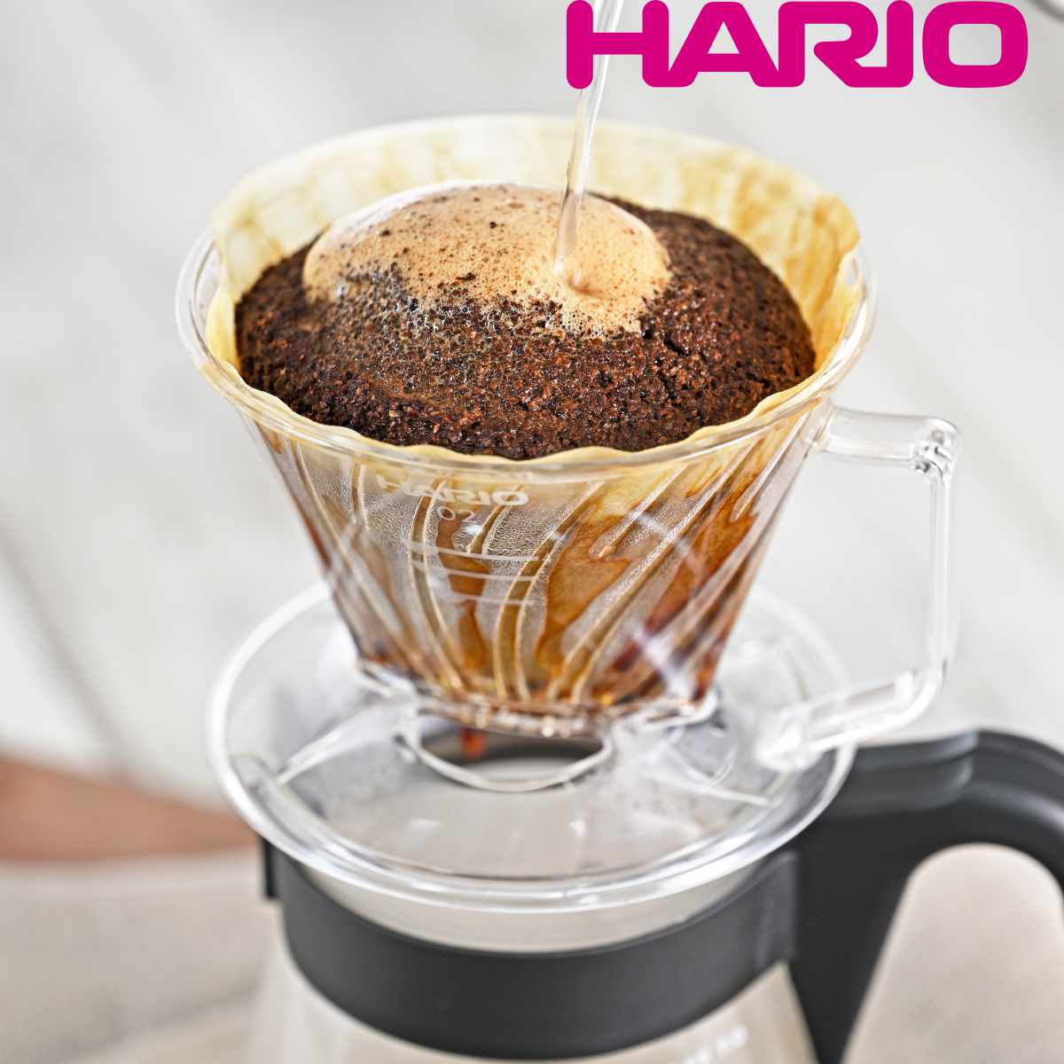 ハリオ ドリッパー 2〜4杯用 ペガサス プラスチック （ HARIO 食洗機対応 コーヒードリッパー コーヒーフィルター コーヒーブリューワー
