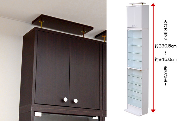 コレクションラック専用 上置き棚 幅48.5cm 浅型 ( 追加棚 突っ張り つっぱり式 収納 両開き扉 本棚 収納棚 収納ラック シェルフ 可動棚 整理 整理棚 ラック ブラウン 白 シンプル ) 【ダークブラウン】 ダークブラウン