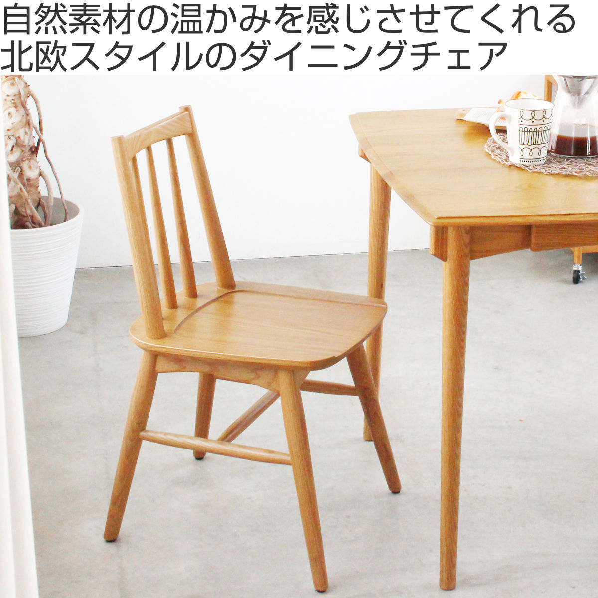 479992-img.jpg