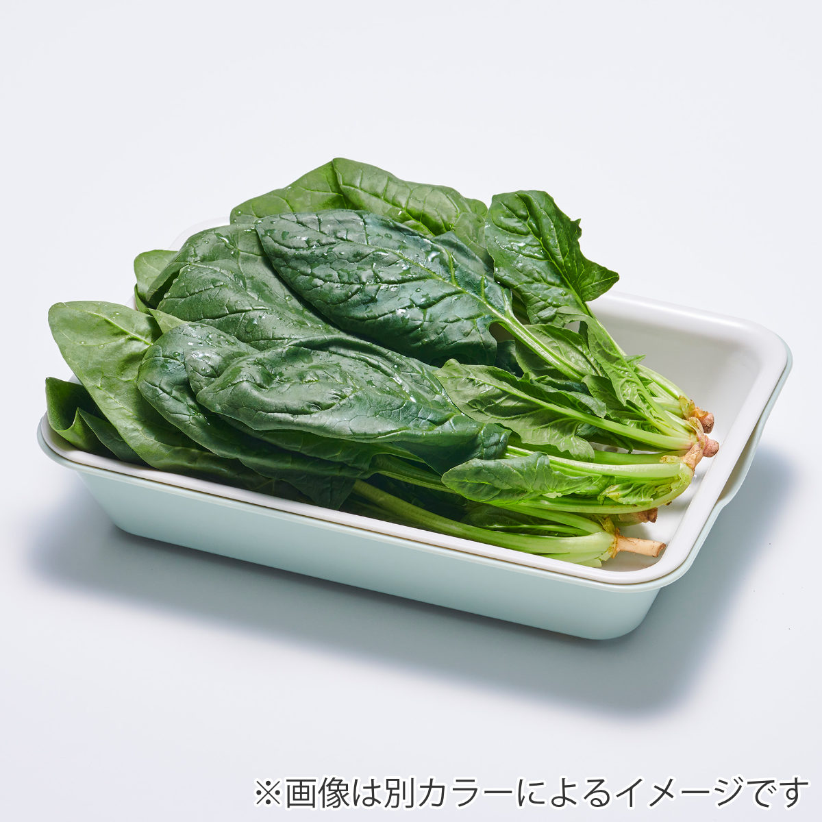 バット&ザル ワイド 3点セット 抗菌 電子レンジ対応 日本製 ( ざる ザル 角ざる 水切りざる バット セット 抗菌加工 四角 角型 浅型 薄型 トレー プラスチック製 耐熱 下ごしらえ スタッキング コンパクト 調理器具 )