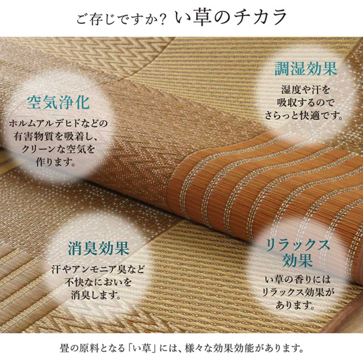 ござ 純国産 い草花ござカーペット 京刺子 江戸間4.5畳（約261×261cm