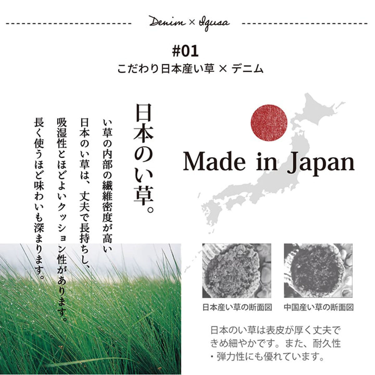 ラグ い草ラグ 純国産 カーペット エスニック調 DXデニムラルフ 約191×250cm 裏貼りあり （ 敷物 ラグマット い草マット い草カーペット  デニム 絨毯 ござ センターラグ 長方形 コンパクト 国産い草 天然素材 空気清浄 消臭 抗菌 ）