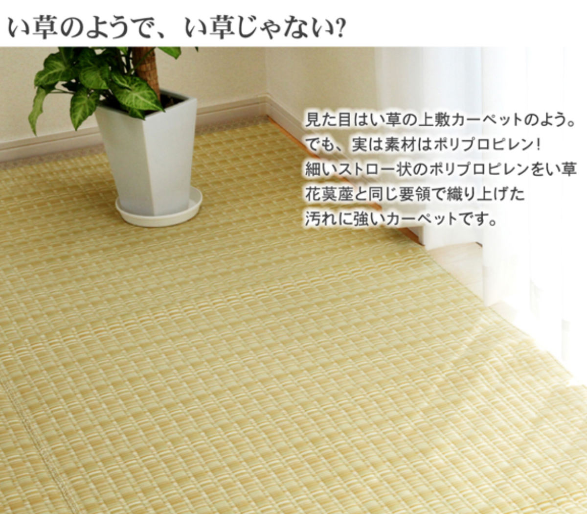 洗える い草風 PPカーペット/ラグマット 【ベージュ 江戸間2畳 約174cm