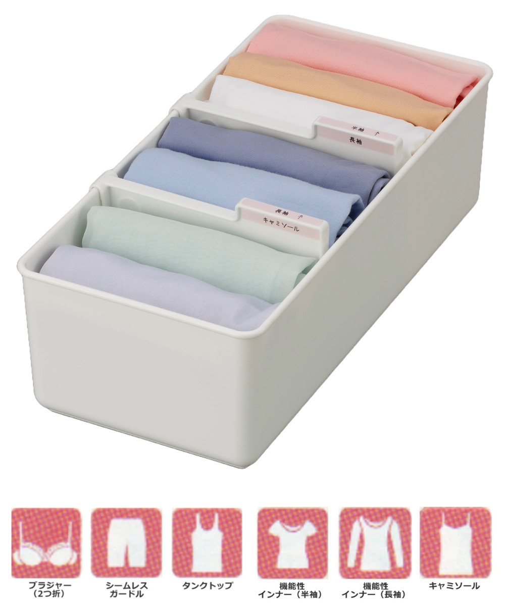 仕切りボックス 下着収納ケース M 仕切り付 幅29.2×奥行13.9×高さ10.8cm ( 収納 収納ボックス 仕切りケース ケース 仕切り 仕分け プラスチック インナーボックス 衣類収納 引出し 引き出し チェスト 小物収納 整理整頓 )
