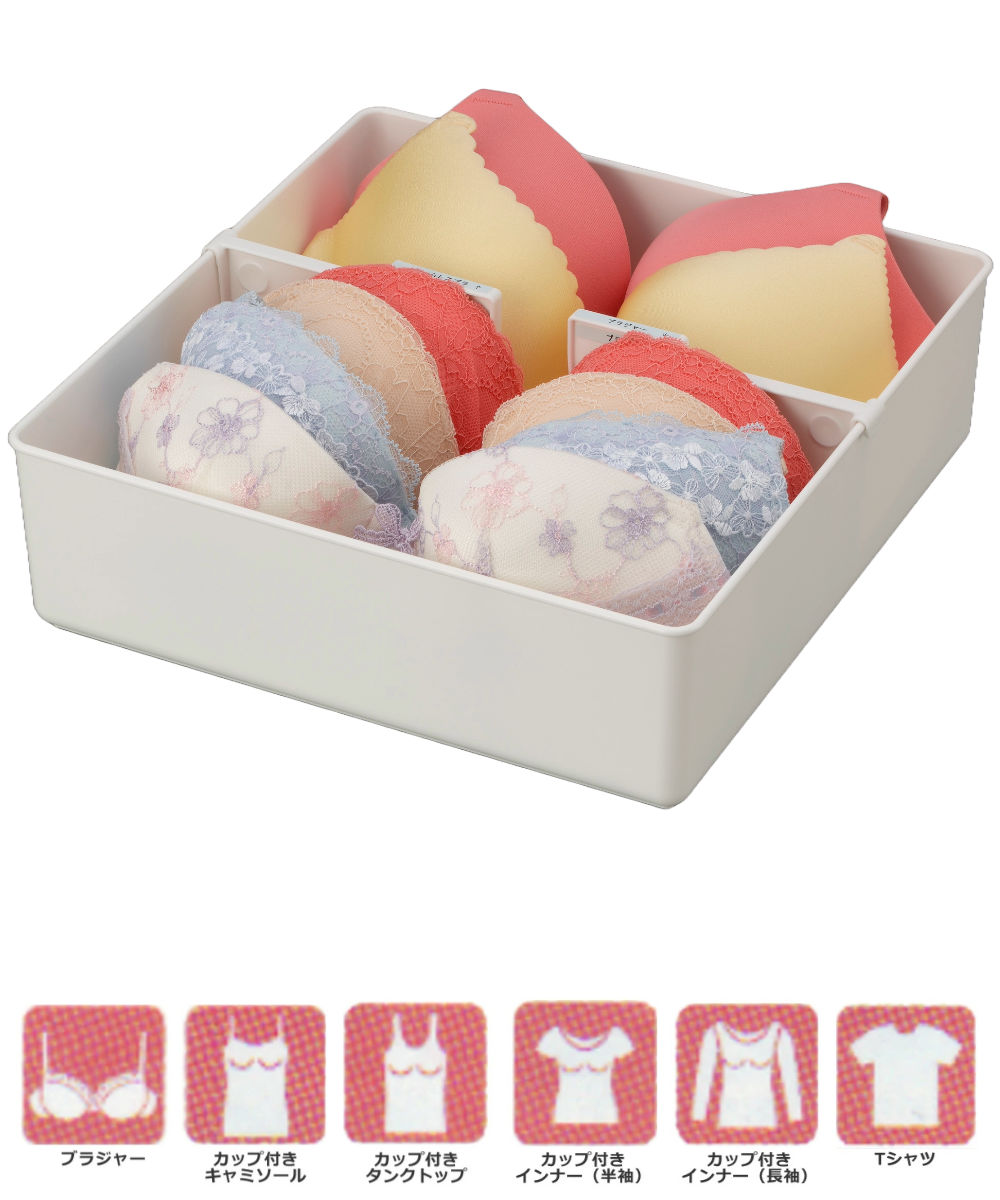 仕切りボックス 下着収納ケース L 仕切り付 幅29.2×奥行30.8×高さ10.8cm ( 収納 収納ボックス 仕切りケース ケース 仕切り 仕分け プラスチック インナーボックス 衣類収納 引出し 引き出し チェスト 小物収納 整理整頓 )