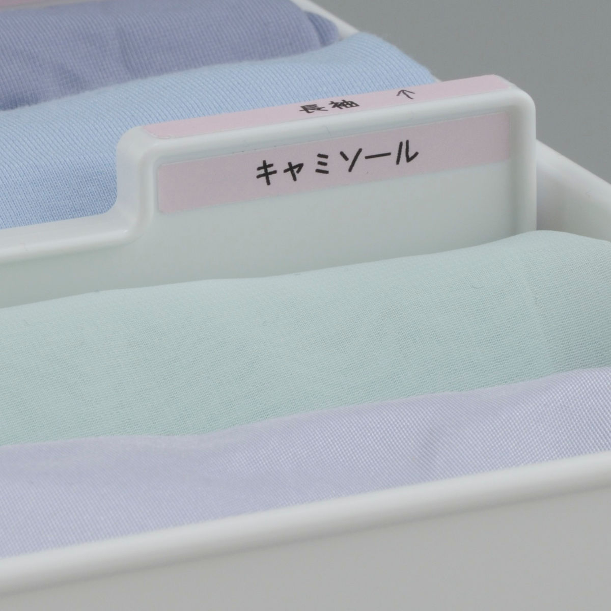 仕切りボックス 下着収納ケース L 仕切り付 幅29.2×奥行30.8×高さ10.8cm ( 収納 収納ボックス 仕切りケース ケース 仕切り 仕分け プラスチック インナーボックス 衣類収納 引出し 引き出し チェスト 小物収納 整理整頓 )