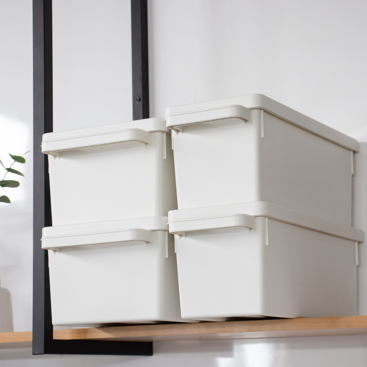 収納ケース メディアコンテナ CD用 ホワイト 幅44.9×奥行16.7×高さ16.4cm ( CD収納ケース 収納ボックス メディア収納 ボックス ケース フタ付き 仕切り付き 積み重ね プラスチック 収納 保管 整理 小物収納 )