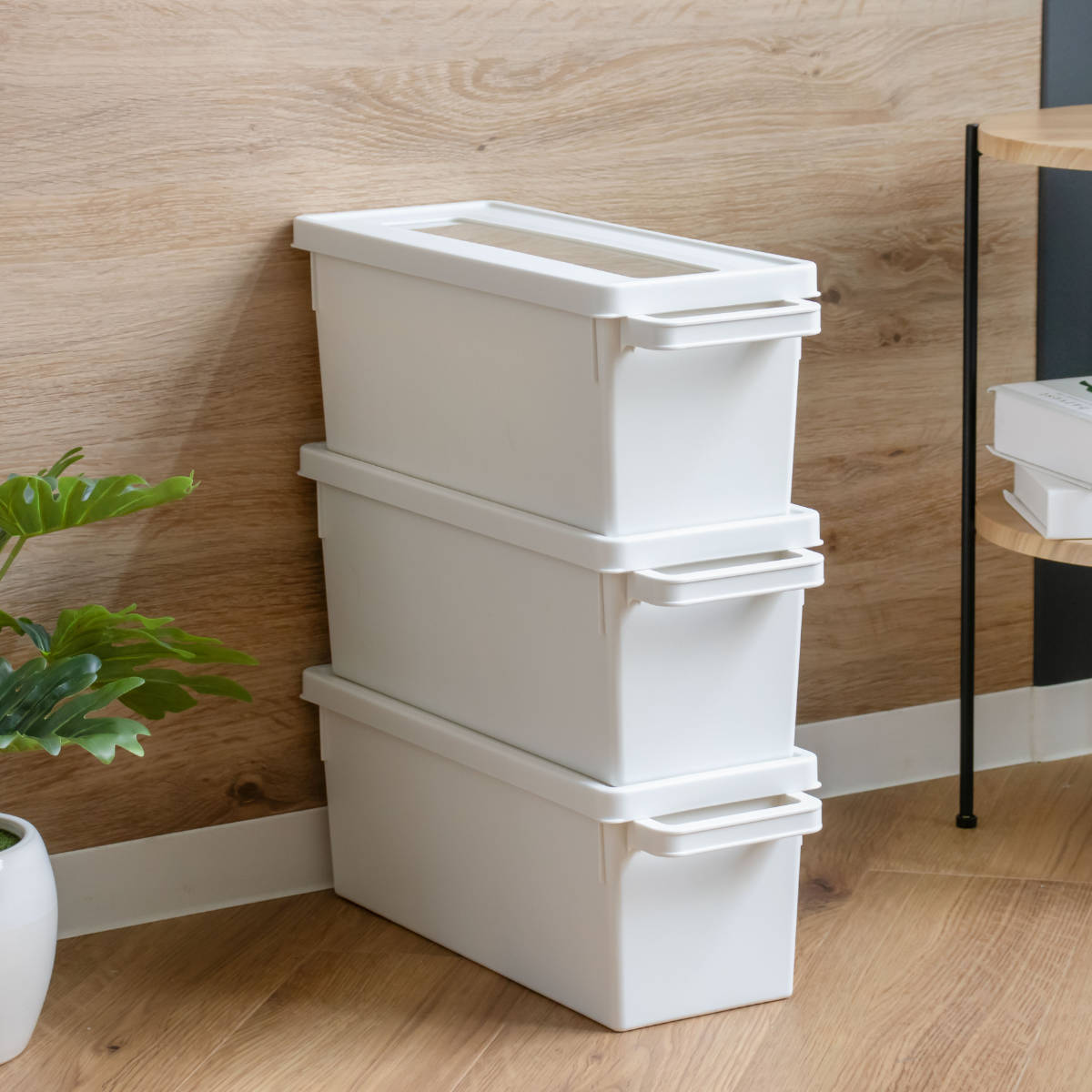 収納ケース メディアコンテナ CD用 ホワイト 幅44.9×奥行16.7×高さ16.4cm ( CD収納ケース 収納ボックス メディア収納 ボックス ケース フタ付き 仕切り付き 積み重ね プラスチック 収納 保管 整理 小物収納 )