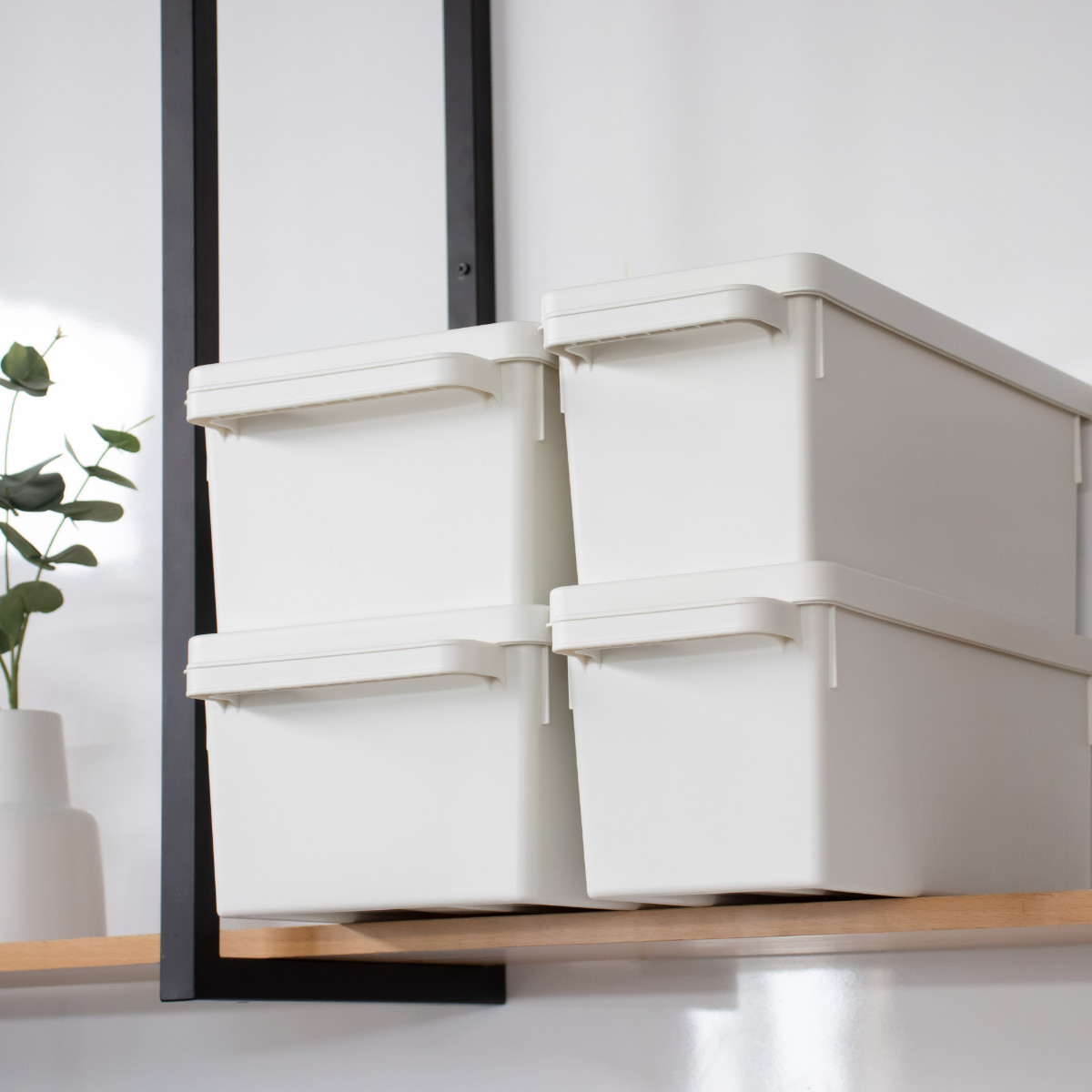 収納ケース メディアコンテナ DVD用 ホワイト 幅44.9×奥行23.3×高さ15.7cm ( DVD収納ケース 収納ボックス メディア収納 ボックス ケース フタ付き 仕切り付き 積み重ね プラスチック 収納 保管 整理 小物収納 )