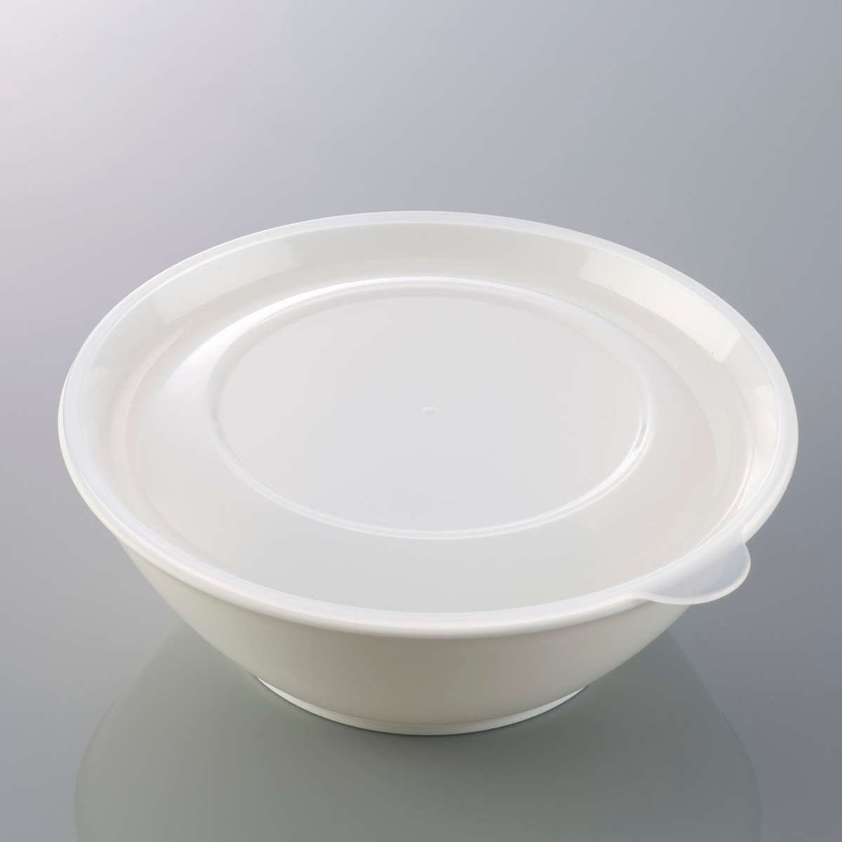 保存容器 そのまま食卓に出せる保存容器 L ( 480ml 保存 容器 食品保存容器 食品 食洗機対応 電子レンジ対応 冷凍 食品保存 日本製 ストッカー 作り置き 常備菜 そのまま出せる 白い器 プラスチック BPAフリー )