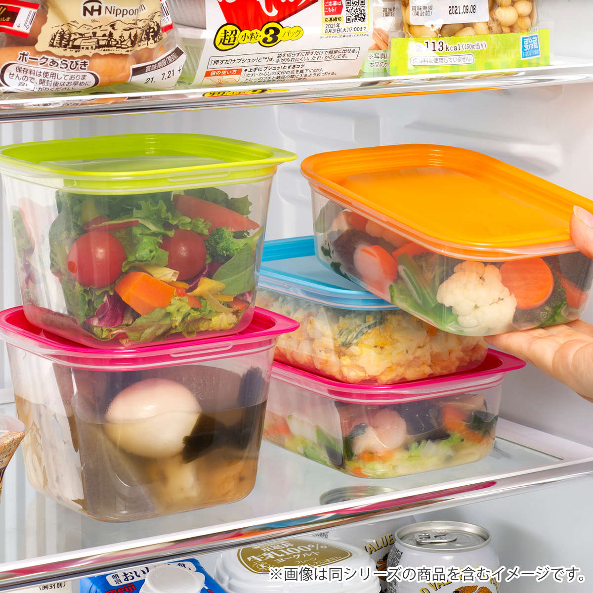 保存容器 楽ちんパック 角型 600ml 4色組 ( 容器 フードケース 電子レンジ対応 フタをしたまま 日本製 冷凍 冷蔵 洗いやすい フードコンテナ プラスチック レンジOK 作り置き 常備菜 おかず 浅型 透明 中が見える )