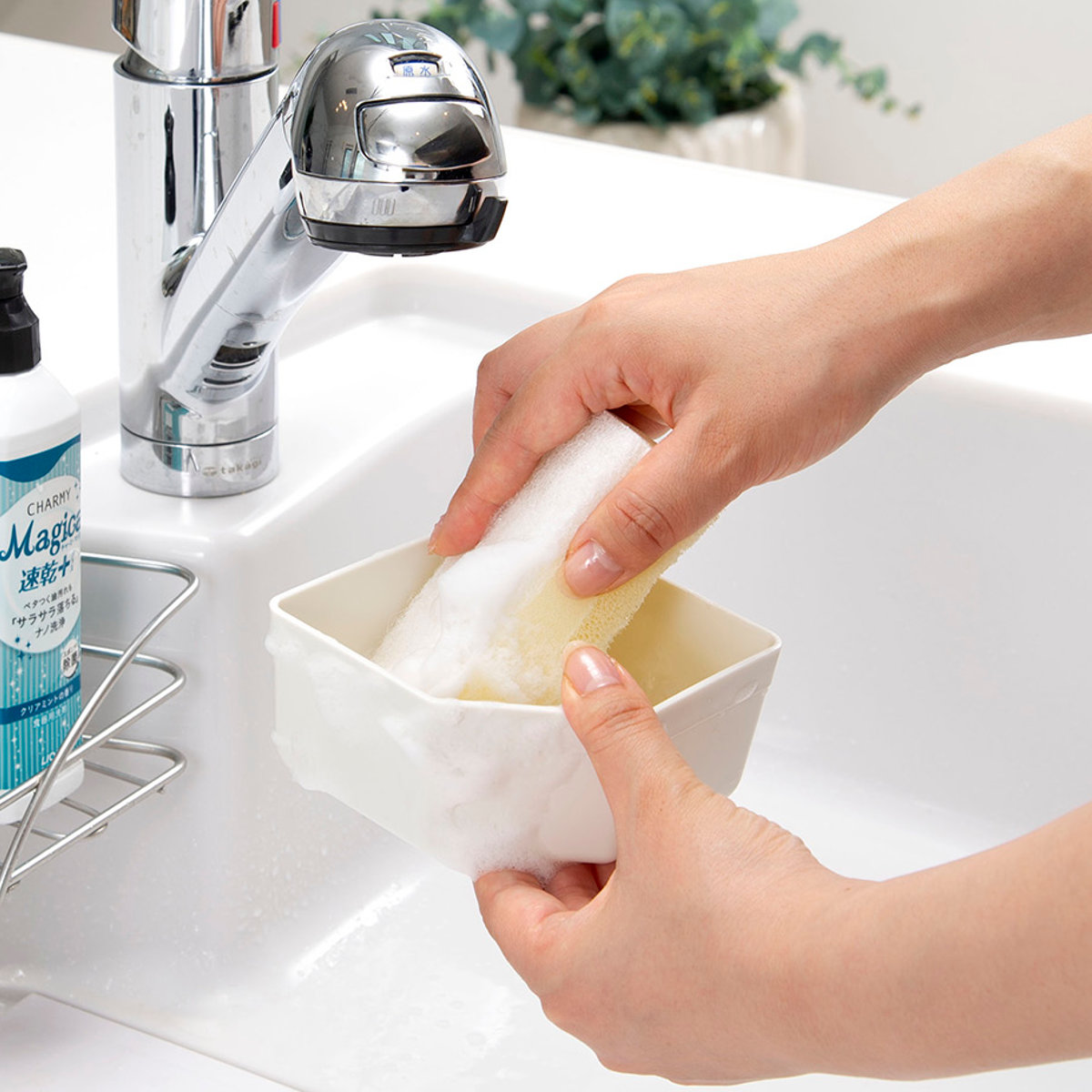 弁当箱 1.7L 3個セット ロック式ランチBOX 中子付き ( お弁当箱 ランチボックス ファミリー 大容量 BPAフリー 日本製 1~2人用 一段弁当 大きめ 一段 四角 ホワイト 白 中子付 おしゃれ シンプル ランチ )