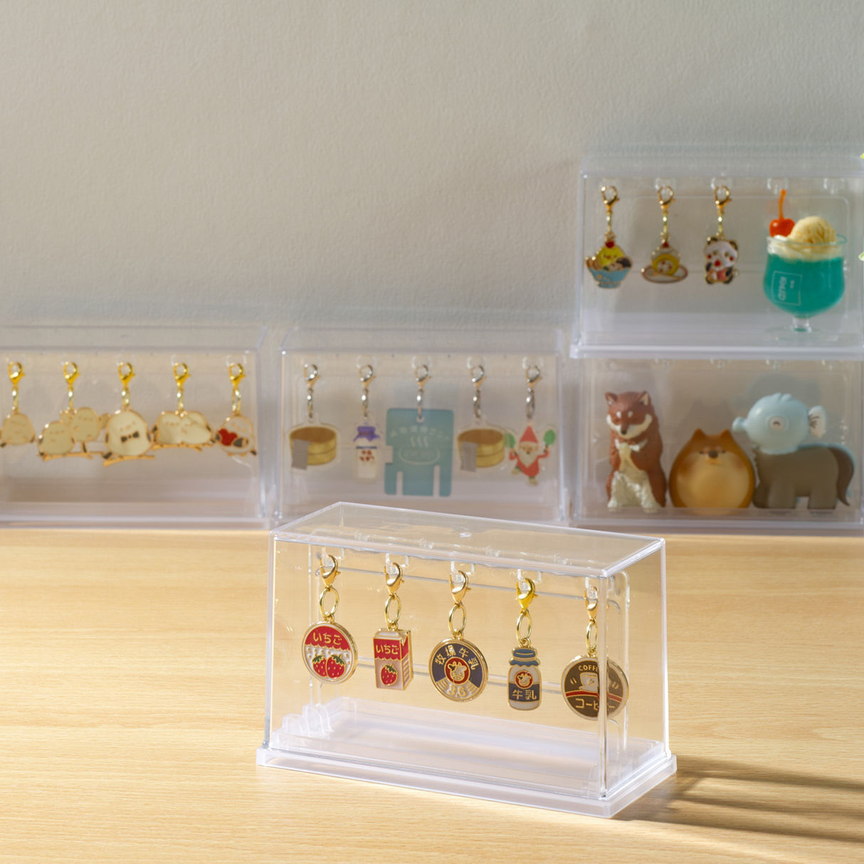 ミニチャーム ディスプレイケース 収納ケース11.9×5.3×7.3cm ( 収納 ケース ディスプレイ 飾る コレクション ボックス コレクションケース 見せる収納 ディスプレー 入れ物 入れ 収集 ガチャガチャ )