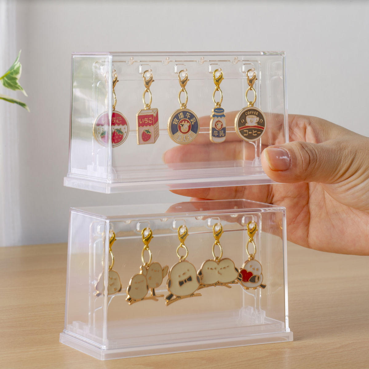 ミニチャーム ディスプレイケース 収納ケース11.9×5.3×7.3cm ( 収納 ケース ディスプレイ 飾る コレクション ボックス コレクションケース 見せる収納 ディスプレー 入れ物 入れ 収集 ガチャガチャ )