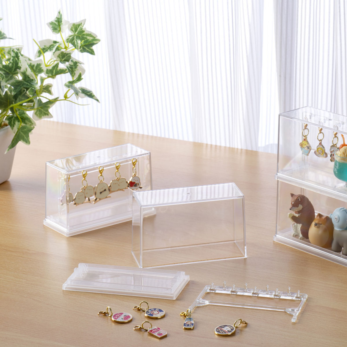 ミニチャーム ディスプレイケース 収納ケース11.9×5.3×7.3cm ( 収納 ケース ディスプレイ 飾る コレクション ボックス コレクションケース 見せる収納 ディスプレー 入れ物 入れ 収集 ガチャガチャ )
