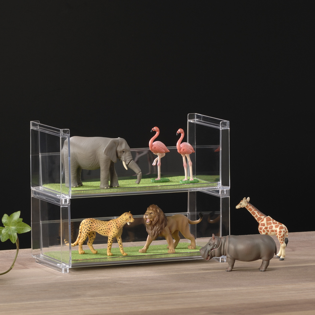 ディスプレイラック 幅19.8×奥行9.3×高さ8.1cm スタッキング 卓上 収納 ( ディスプレイ コレクション ケース プラスチック クリアケース フィギュア ディスプレイケース ラック インテリア 飾る 棚 見せる収納 )