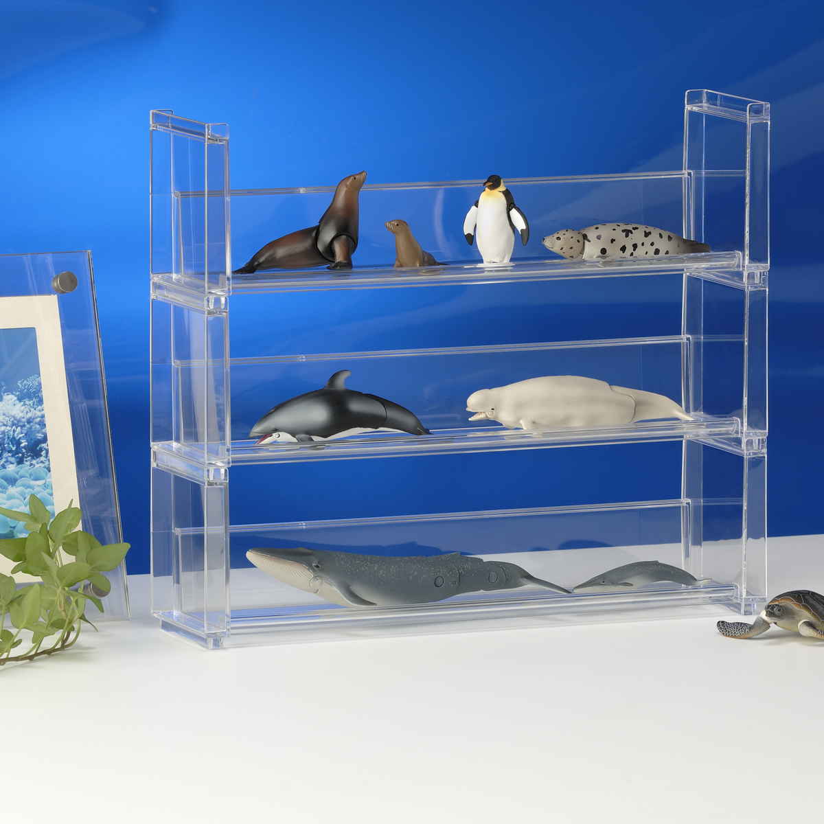 ディスプレイラック 幅26.9×奥行7×高さ8.1cm スタッキング 卓上 収納 ( ディスプレイ コレクション ケース プラスチック クリアケース フィギュア ディスプレイケース ラック インテリア 飾る 棚 見せる収納 )