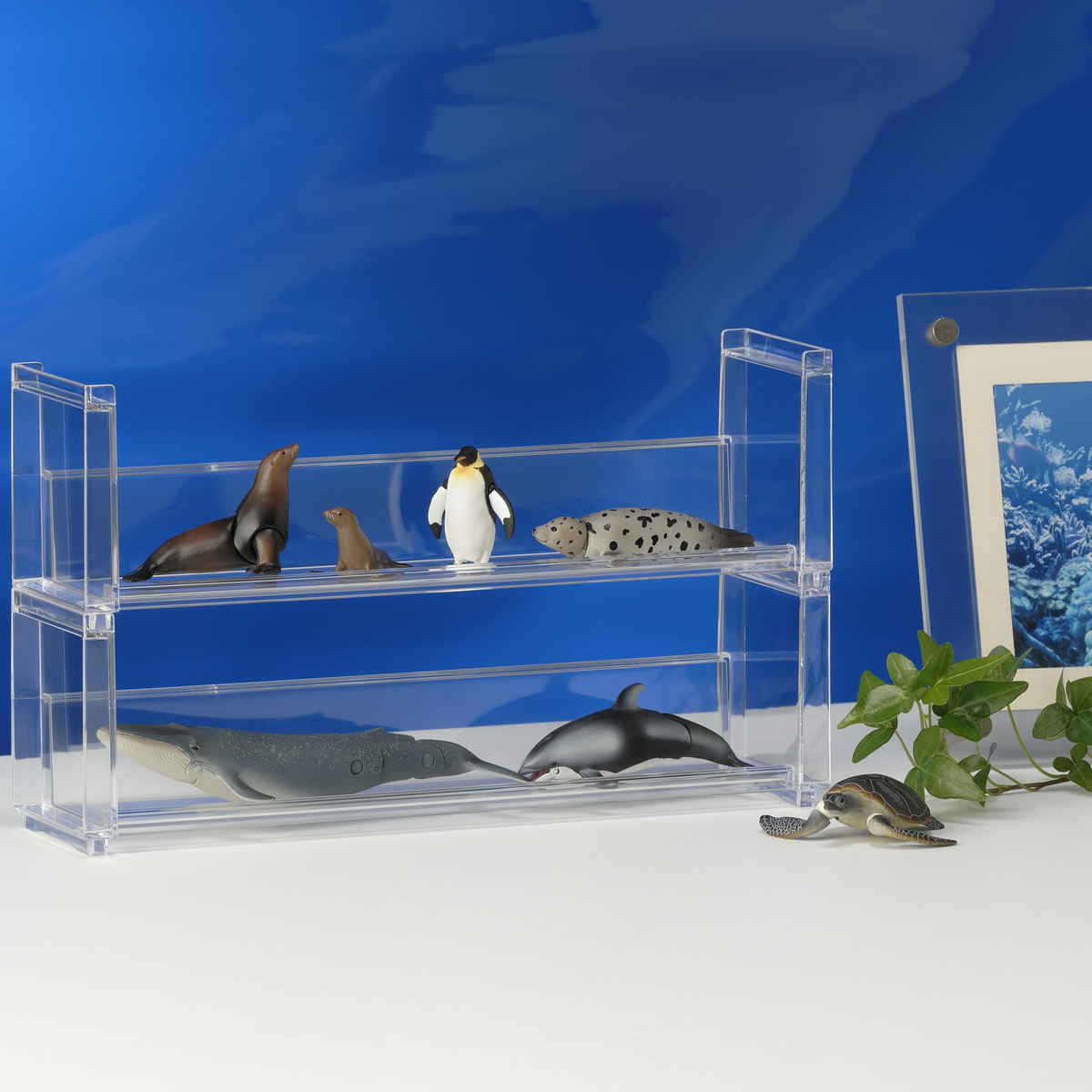 ディスプレイラック 幅26.9×奥行7×高さ8.1cm スタッキング 卓上 収納 ( ディスプレイ コレクション ケース プラスチック クリアケース フィギュア ディスプレイケース ラック インテリア 飾る 棚 見せる収納 )