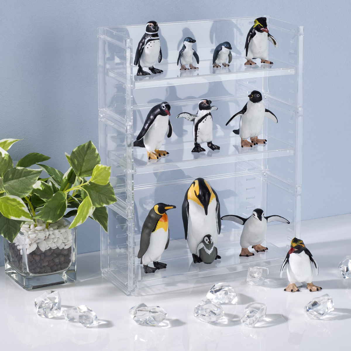 ディスプレイラック 幅19.6×奥行7×高さ9.1cm スタッキング 卓上 収納 ( ディスプレイ コレクション ケース プラスチック クリアケース フィギュア ディスプレイケース ラック インテリア 飾る 棚 見せる収納 )