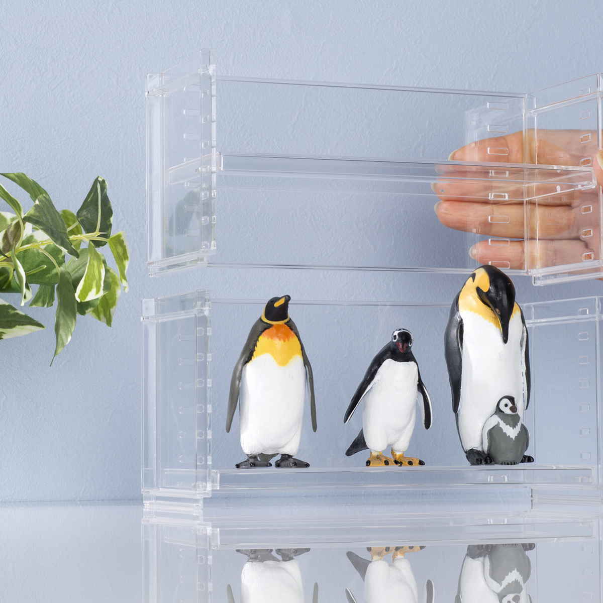 ディスプレイラック 幅19.6×奥行7×高さ9.1cm スタッキング 卓上 収納 ( ディスプレイ コレクション ケース プラスチック クリアケース フィギュア ディスプレイケース ラック インテリア 飾る 棚 見せる収納 )