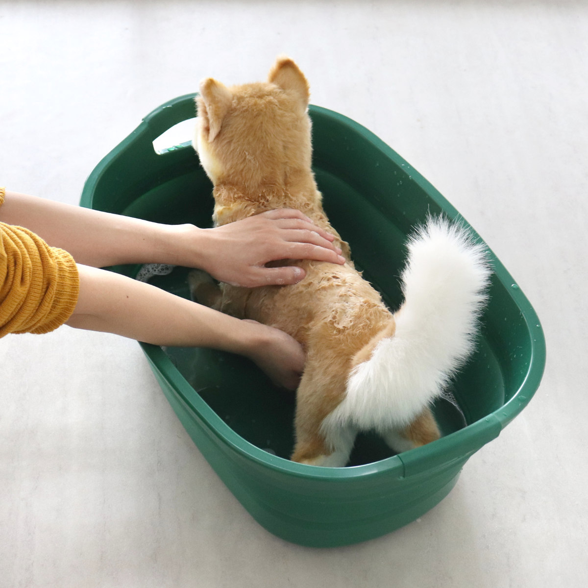 バケツ 折りたたみ 23L ソフトタブプラス 中栓付き ( 折りたたみバケツ 大容量 柔らかい 収納 持ち手 つけ置き洗い 掃除 清掃 排水栓付き 日本製 四角 ランドリーバスケット 洗い桶 洗面器 おりたたみ コンパクト スリム 洗濯 ) 【イエロー】 イエロー