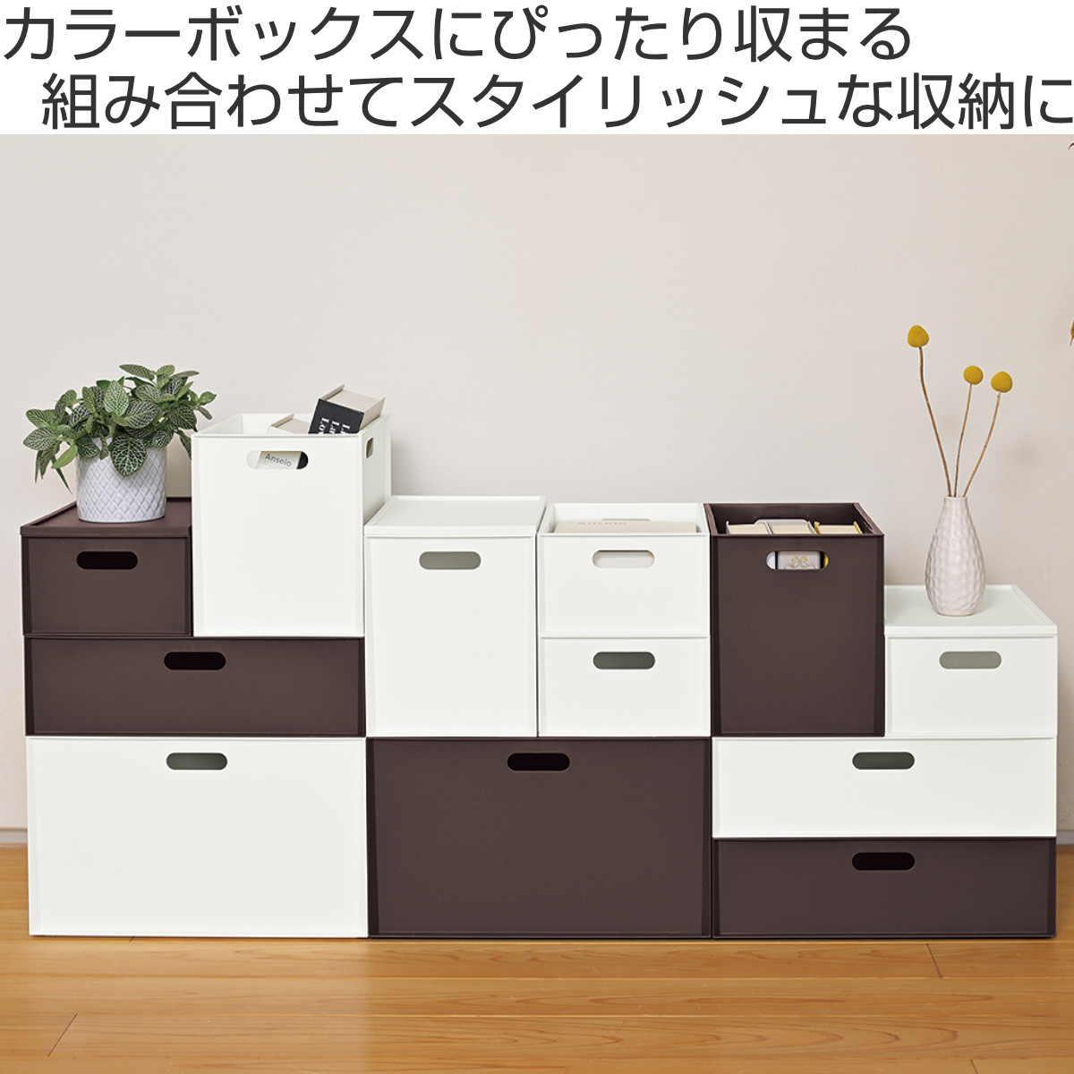 収納ボックス カロキューブ 縦型ハーフ カラーボックス 幅19.5×奥行27×高さ12cm ( 収納ケース プラスチック 小物 収納 インナーボックス 日本製 積み重ね キッチン おもちゃ ボックス ケース 浅型 小物入れ ) 【ホワイト】 ホワイト