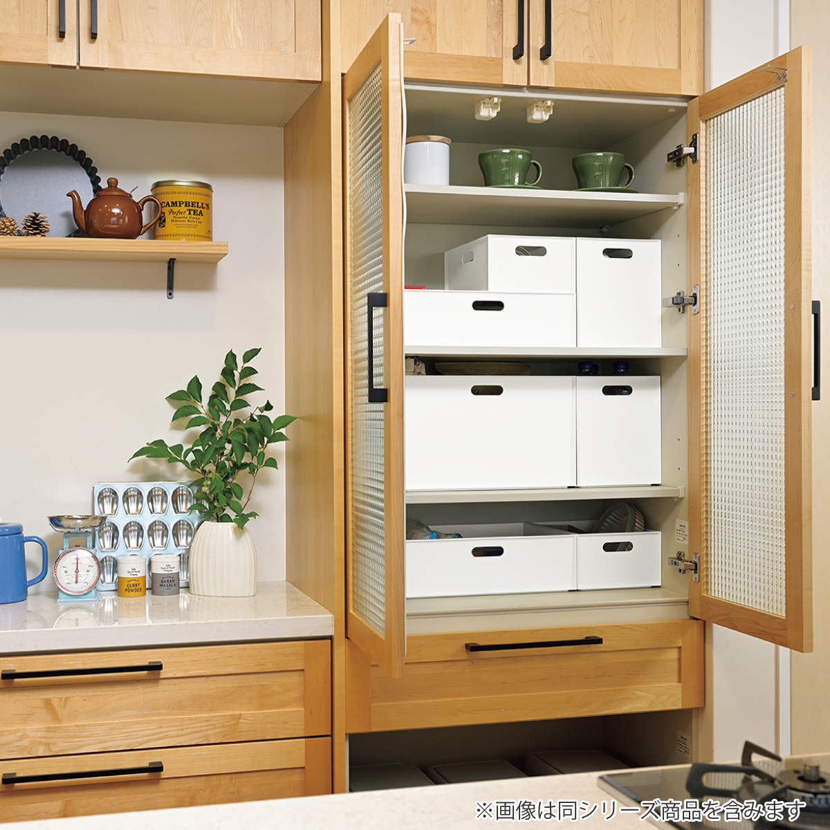 収納ボックス カロキューブ 縦型ハーフ カラーボックス 幅19.5×奥行27×高さ12cm ( 収納ケース プラスチック 小物 収納 インナーボックス 日本製 積み重ね キッチン おもちゃ ボックス ケース 浅型 小物入れ ) 【ホワイト】 ホワイト