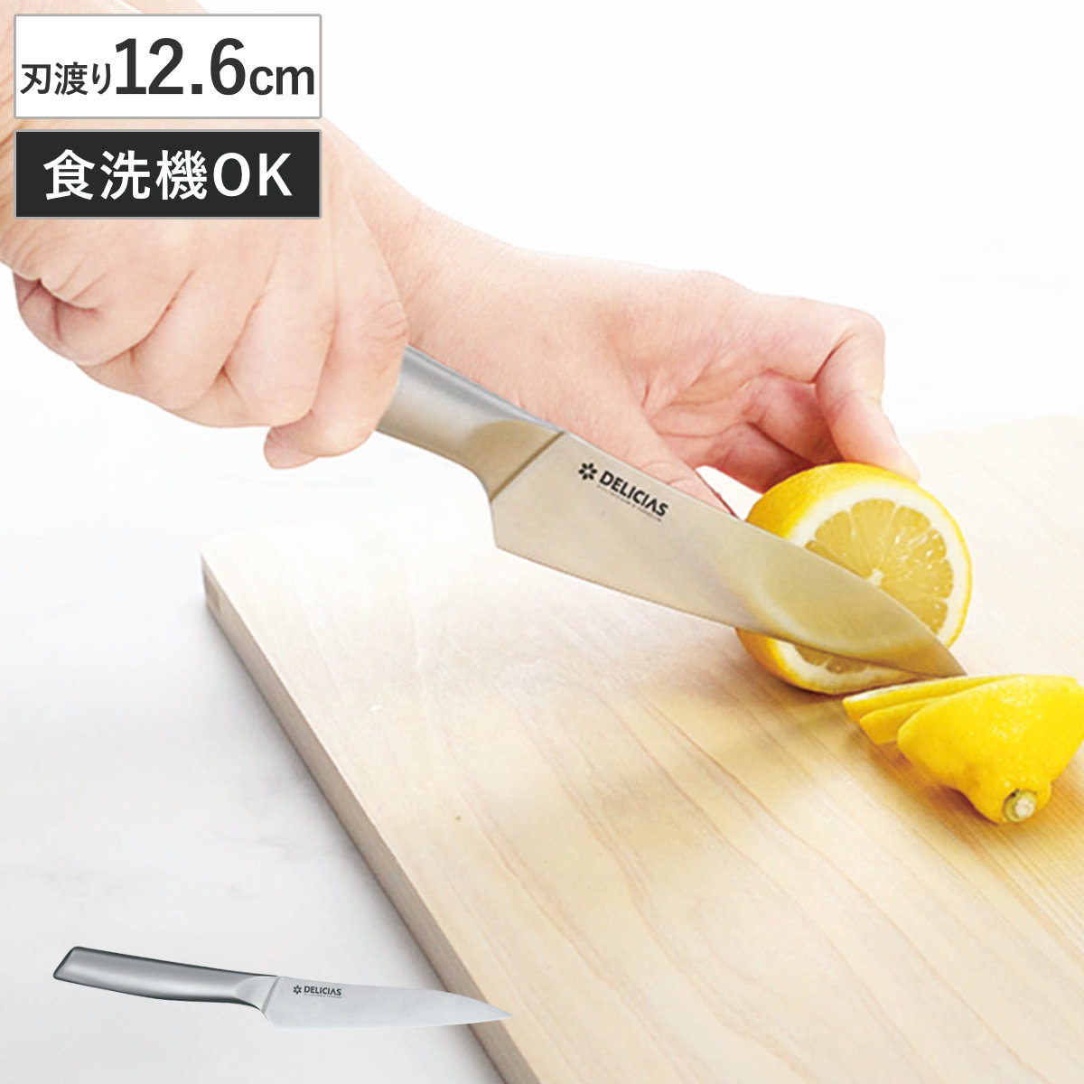 ペティナイフ 刃渡り12.6cm オールステンレス デリシアス （ 12.6センチ 刃渡り 12.6 ステンレス製 ぺティナイフ 食洗機対応 食洗機OK ナイフ ほうちょう 果物ナイフ 果物包丁 フルーツナイフ シームレス ブラスト加工 ）