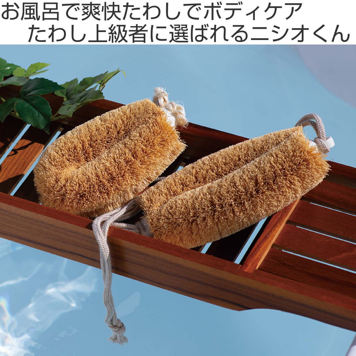 亀の子束子西尾商店 ボディたわし ひも付 ニシオくん かため ( ボディブラシ ブラシ たわし 束子 ボディ 体 からだ パーム 天然素材 体洗い 身体洗い ボディケア バスグッズ お風呂 入浴 )