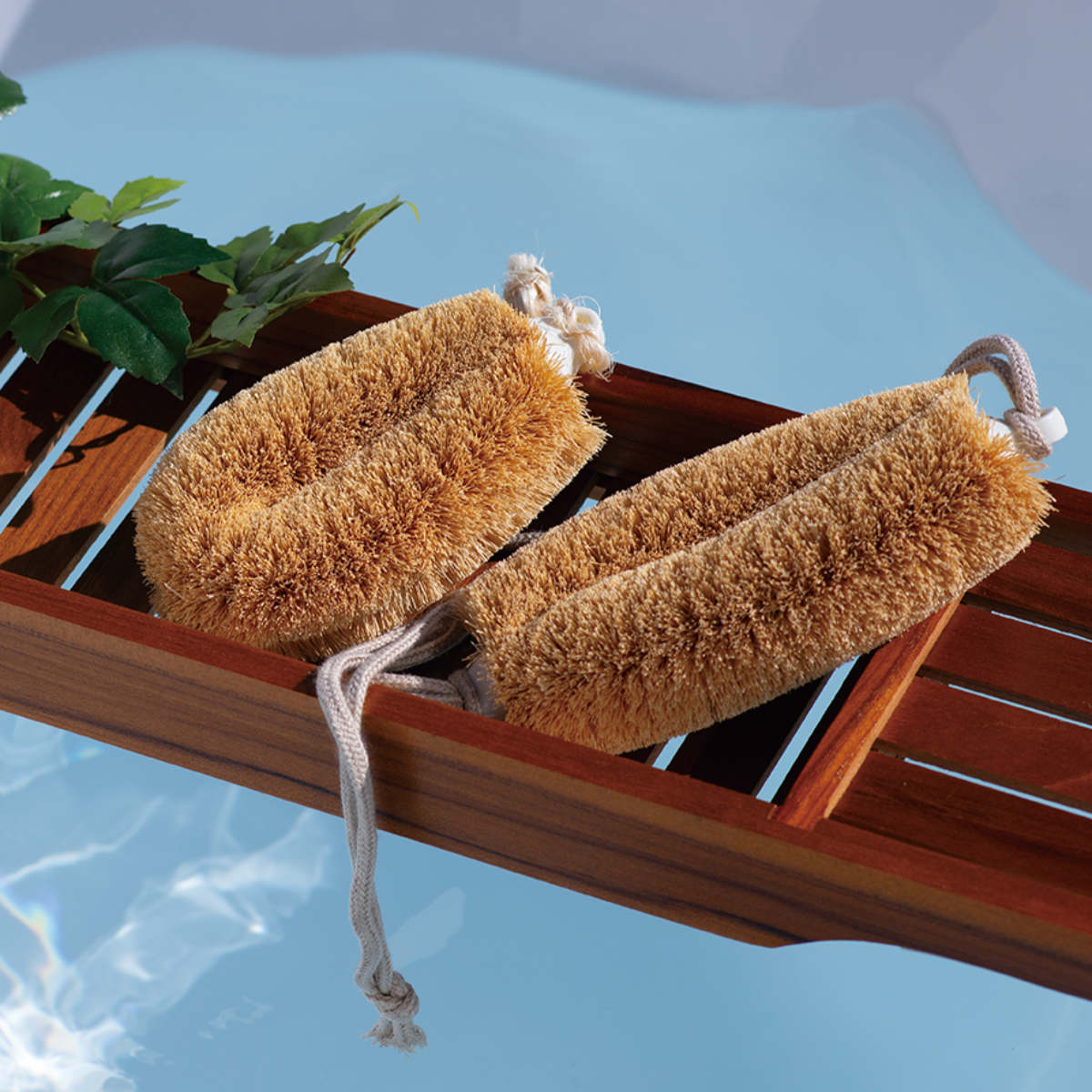 亀の子束子西尾商店 ボディたわし ひも付 ニシオくん かため ( ボディブラシ ブラシ たわし 束子 ボディ 体 からだ パーム 天然素材 体洗い 身体洗い ボディケア バスグッズ お風呂 入浴 )