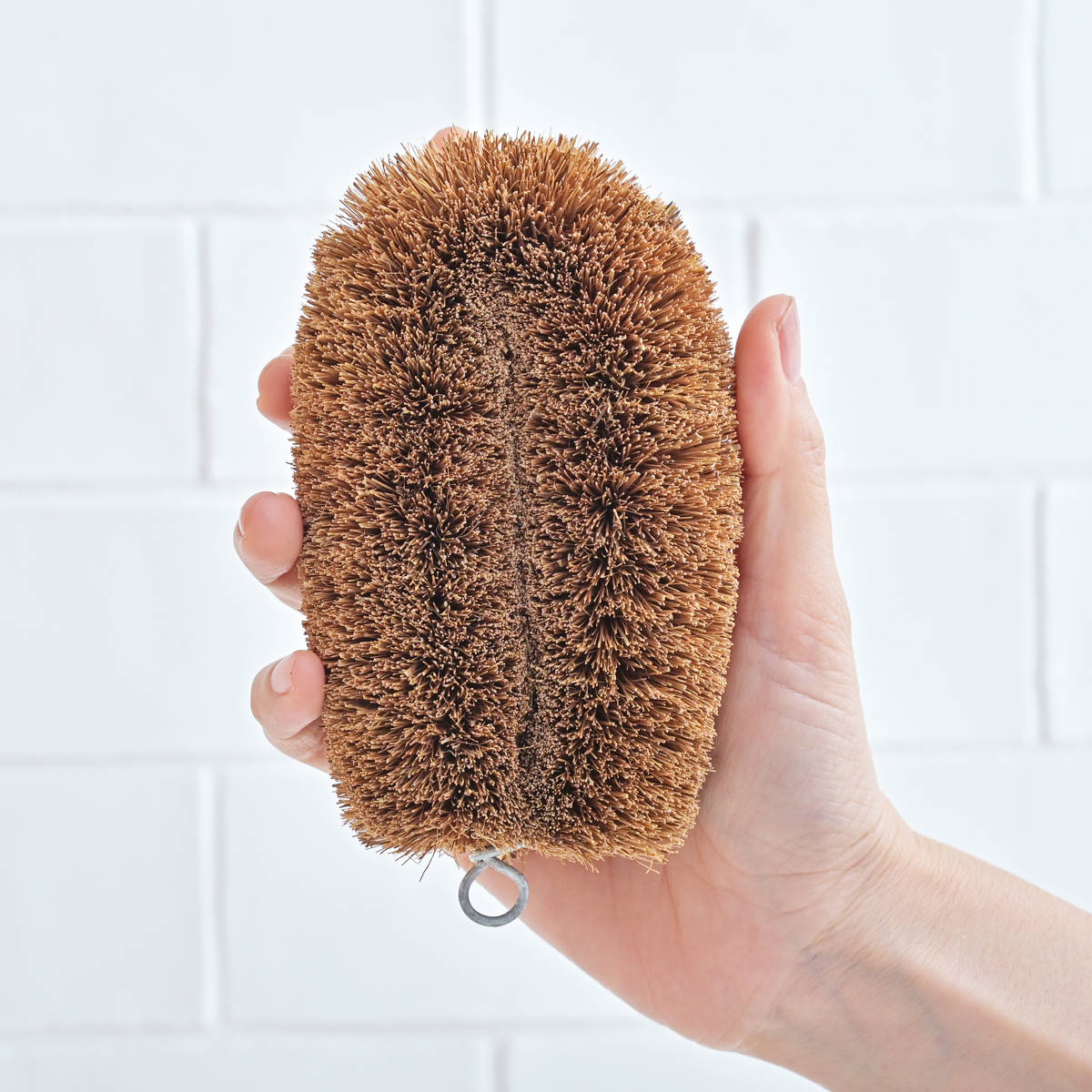 たわし 亀の子束子 3号 中 10個セット ( タワシ 束子 亀の子タワシ ざる洗い まな板洗い コゲ落とし 天然素材 フライパン 鍋 調理器具を洗う 食器洗い 皿洗い 野菜洗い 洗う 泥落とし キッチン用品 )