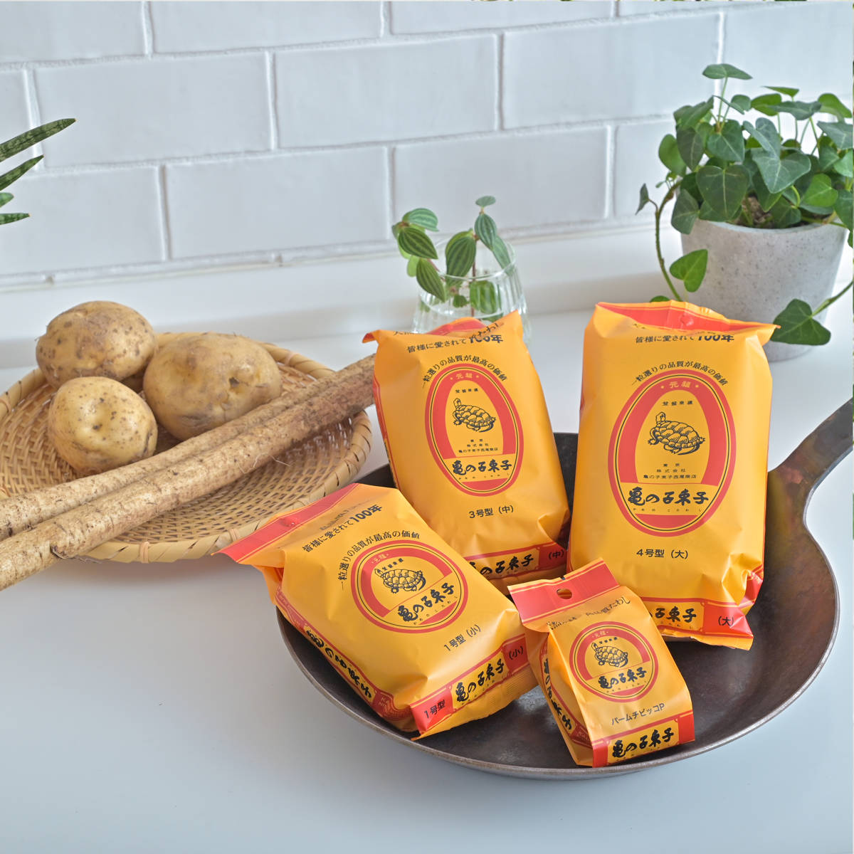 たわし 亀の子束子 3号 中 10個セット ( タワシ 束子 亀の子タワシ ざる洗い まな板洗い コゲ落とし 天然素材 フライパン 鍋 調理器具を洗う 食器洗い 皿洗い 野菜洗い 洗う 泥落とし キッチン用品 )