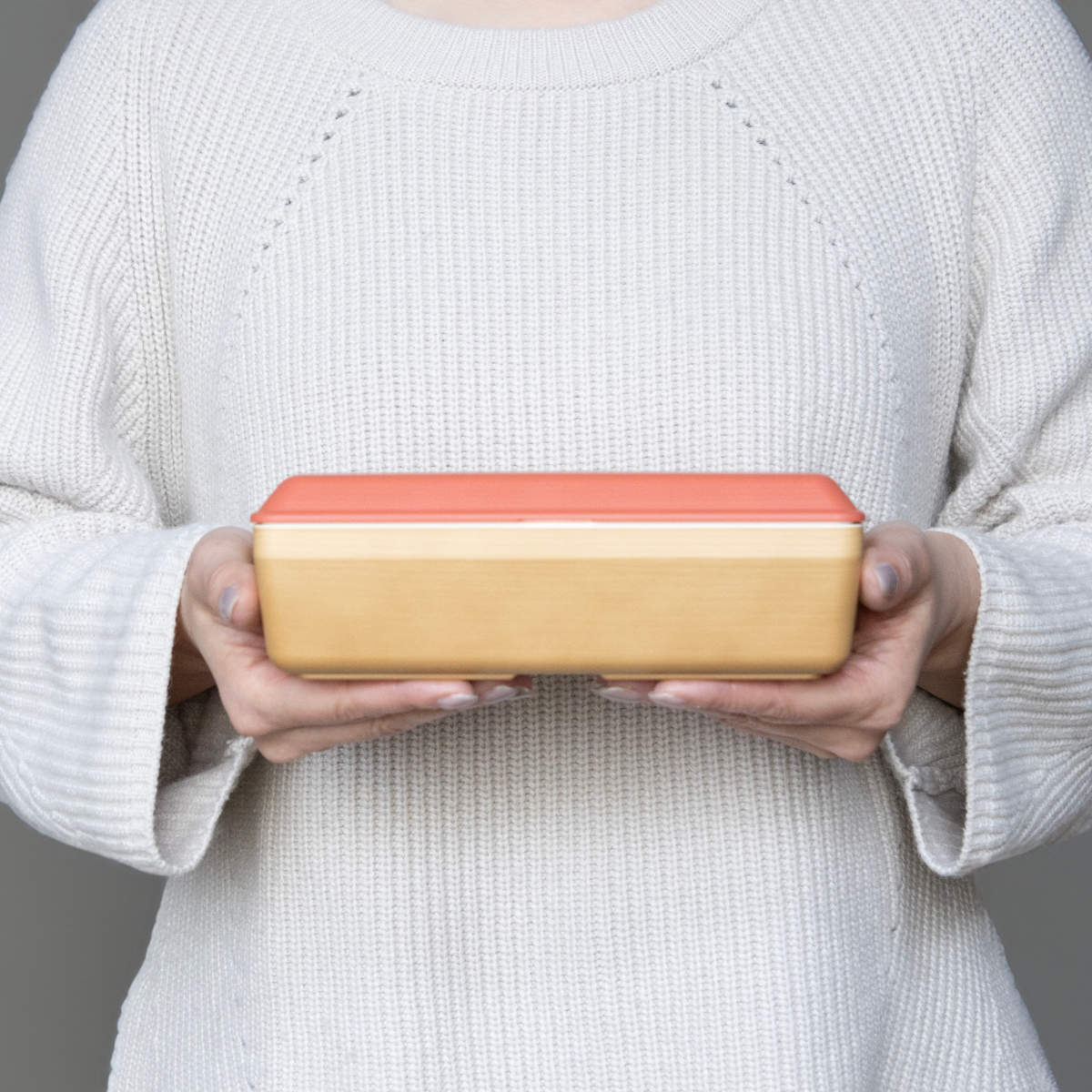 弁当箱 700ml 1段 earth color 抗菌長角弁当 ( お弁当箱 ランチボックス レンジ対応 食洗機対応 抗菌 一段 日本製 レンジOK 食洗機OK 弁当 お弁当 ランチバンド付き 大人 抗菌加工 仕切り付き ) 【ダークブラウン】 ダークブラウン