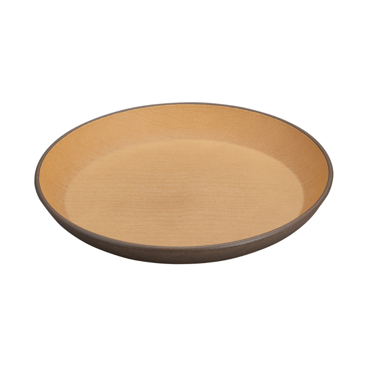 プレート earth color 抗菌 丸 2枚入 ( BPAフリー 日本製 電子レンジ対応 食洗機対応 皿 お皿 パン皿 デザート皿 おしゃれ かわいい 軽い 割れにくい 子ども 介護 抗菌加工 木目調 )