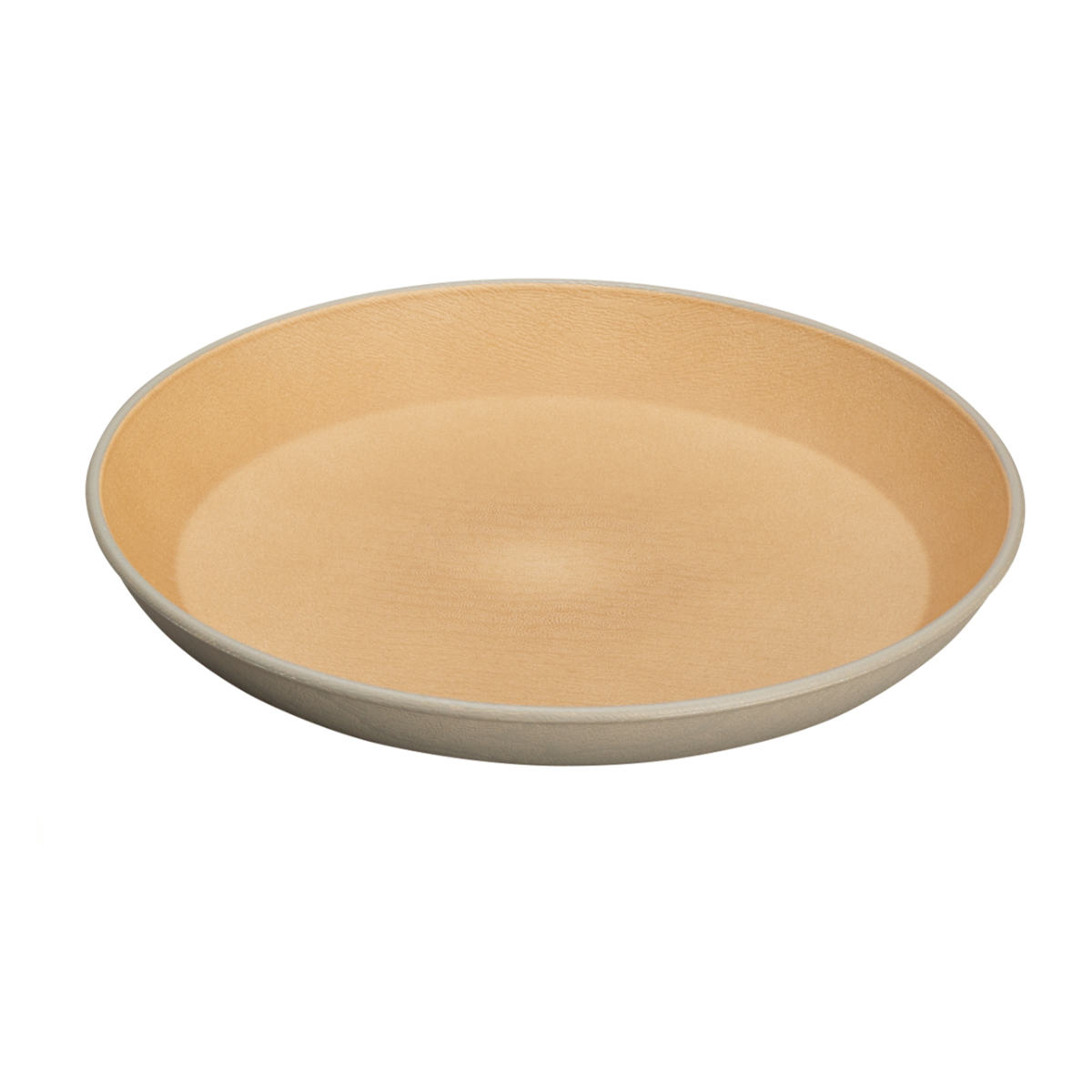 プレート earth color 抗菌 丸 2枚入 ( BPAフリー 日本製 電子レンジ対応 食洗機対応 皿 お皿 パン皿 デザート皿 おしゃれ かわいい 軽い 割れにくい 子ども 介護 抗菌加工 木目調 )