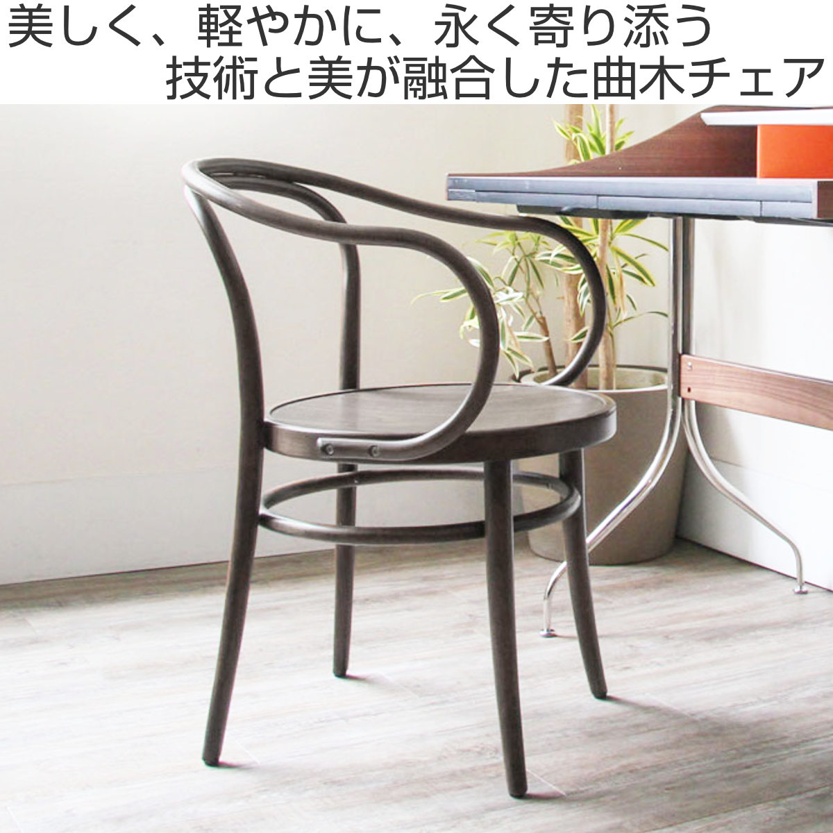 ダイニングチェア 座面高46cm 曲木チェア ルネ ( 食卓椅子 チェア ダイニング イス 椅子 木製 天然木 曲木 チェアー 完成品 食卓 リビング おしゃれ ダイニングチェアー リビングチェア 肘掛け 木製椅子 )