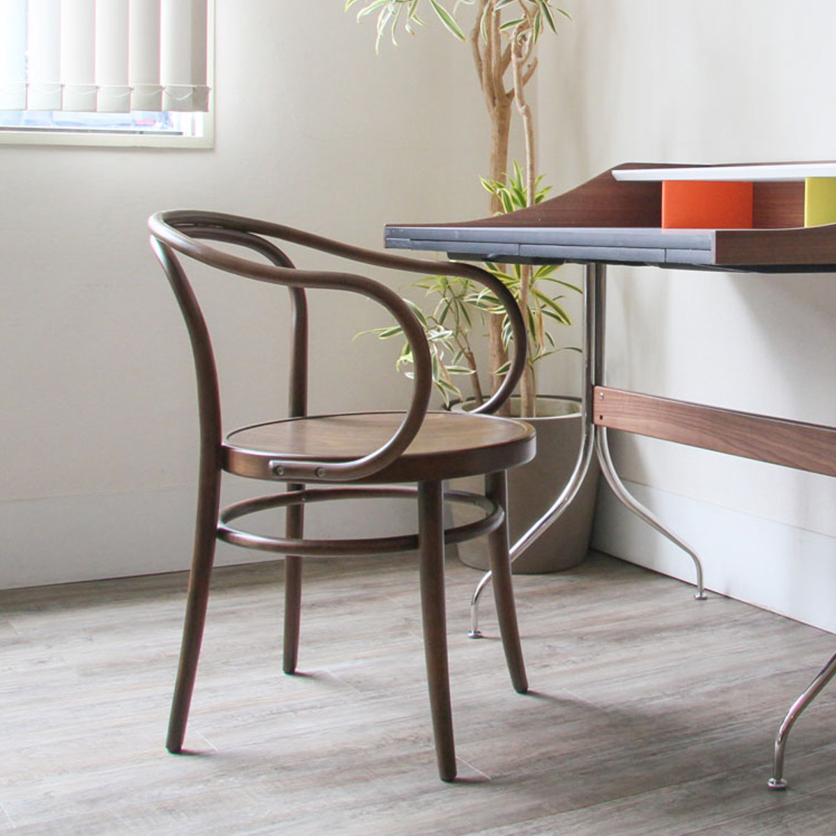 ダイニングチェア 座面高46cm 曲木チェア ルネ ( 食卓椅子 チェア ダイニング イス 椅子 木製 天然木 曲木 チェアー 完成品 食卓 リビング おしゃれ ダイニングチェアー リビングチェア 肘掛け 木製椅子 )