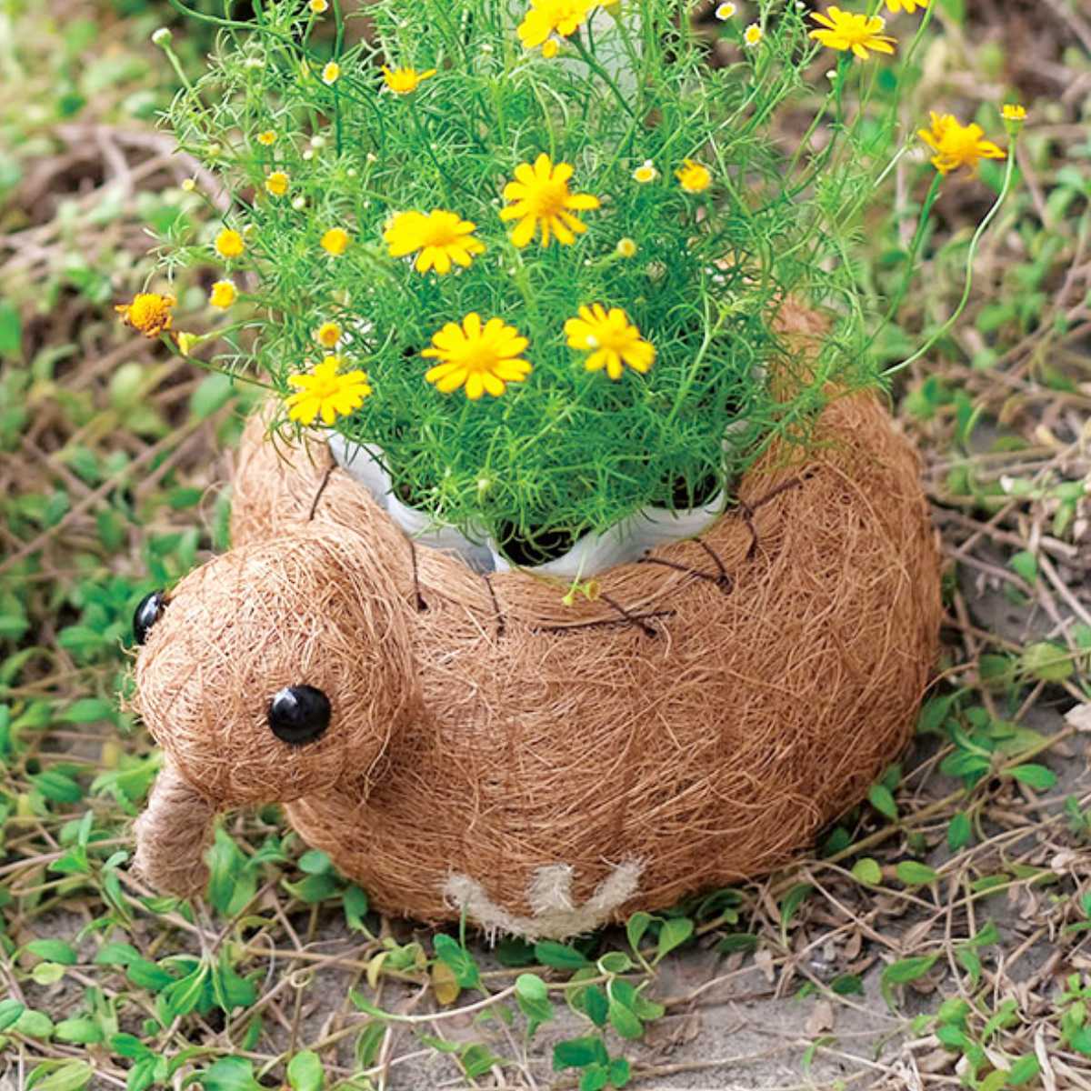 プランター ひだまりアニマルポット キウイ ( 植木鉢 プラントポット 植物用ポット ポット 卓上ポット 鉢 動物 鉢カバー プランターカバー 植物 花 観葉植物 多肉植物 サボテン 園芸 インテリア 雑貨 ガーデニング用品 )
