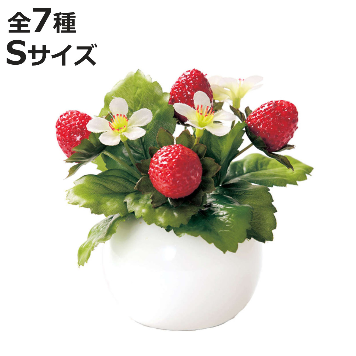 CODE/392004
