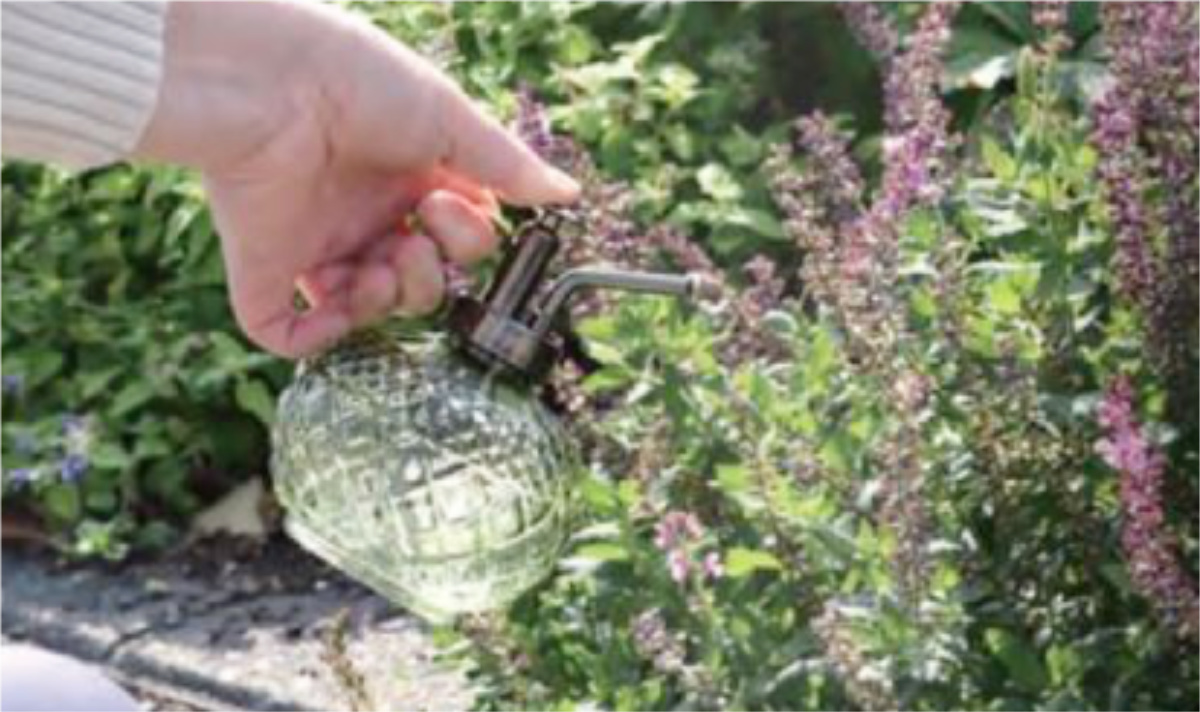 霧吹き ガラススプレイヤー クロス ( ガラス スプレー ミストボトル スプレーボトル ガラス製 霧ふき 霧吹 おしゃれ ガーデニング 観葉植物 ディスプレイ お手入れ 250ミリ 水やり アンティーク調 ) 【クリア】 クリア