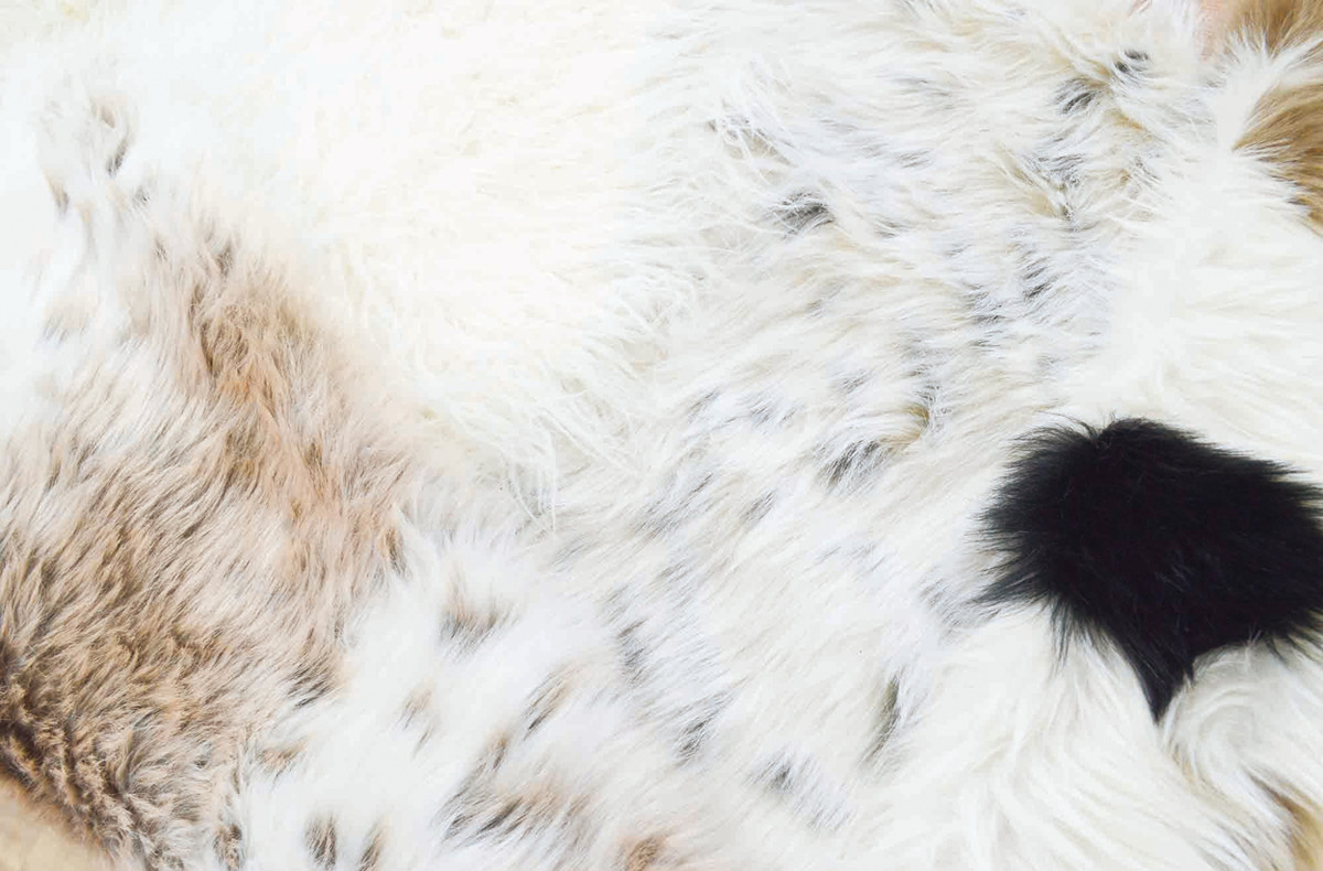 フロアマット リッシュ アクセントラグ S ( ラグ 玄関マット インテリア フェイクファー ふわふわ アニマル 敷き物 マット ロングファー かわいい 高級感 癒し もこもこ 毛並み ロング 幅90cm ) 【ブラックラビット】 ブラックラビット