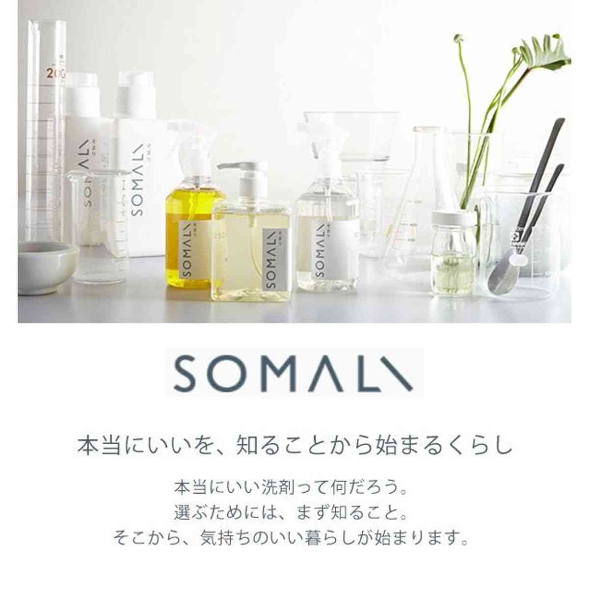 そまり SOMALI 台所用石けん 300ml 日本製 ( 食器洗剤 石鹸 液体石鹸 ソマリ 木村石鹸 食器用洗剤 食器洗い洗剤 洗剤 台所用石鹸 液体せっけん 液体洗剤 せっけん 天然素材 キッチン用洗剤 )