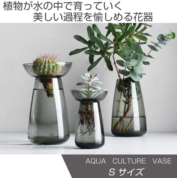 Dショッピング キントー Kinto 花器 Aqua Culture Vase Sサイズ ガラス 花瓶 おしゃれ フラワーベース 花 グリーン 栽培 ハーブ インテリア オブジェ ガラス製 飾る 一輪挿し フラワーグラス 水栽培 水耕栽培 根っこ クリア カテゴリ 鉢 プランターの