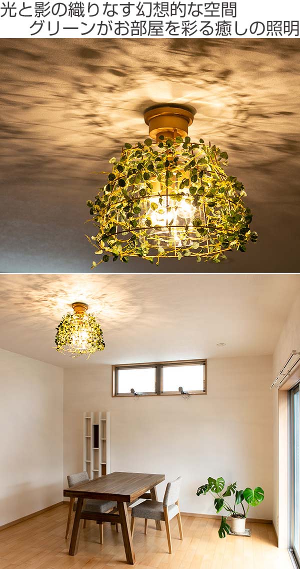 シーリングライト 3灯 フィットニア ボタニカル 天井照明 LED対応 CT