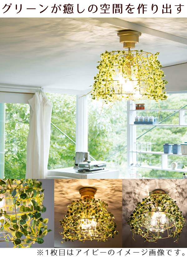 シーリングライト 3灯 フィットニア ボタニカル 天井照明 LED対応 CT