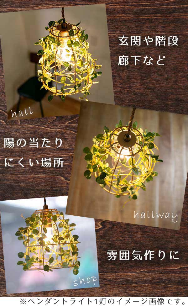 シーリングライト 3灯 フィットニア ボタニカル 天井照明 LED対応 CT