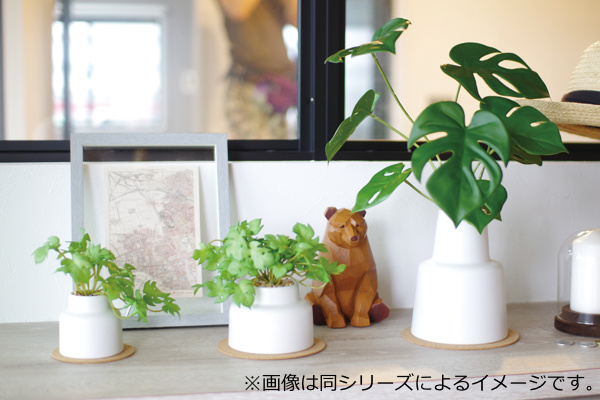 フェイクグリーン ユーカリ L 人工観葉植物 エクリア （ 卓上 観葉植物 造花 CT触媒 光触媒 消臭 防汚 抗菌 簡単 清潔 安心 インテリア  玄関 デスク上 トイレ 洗面所 ）