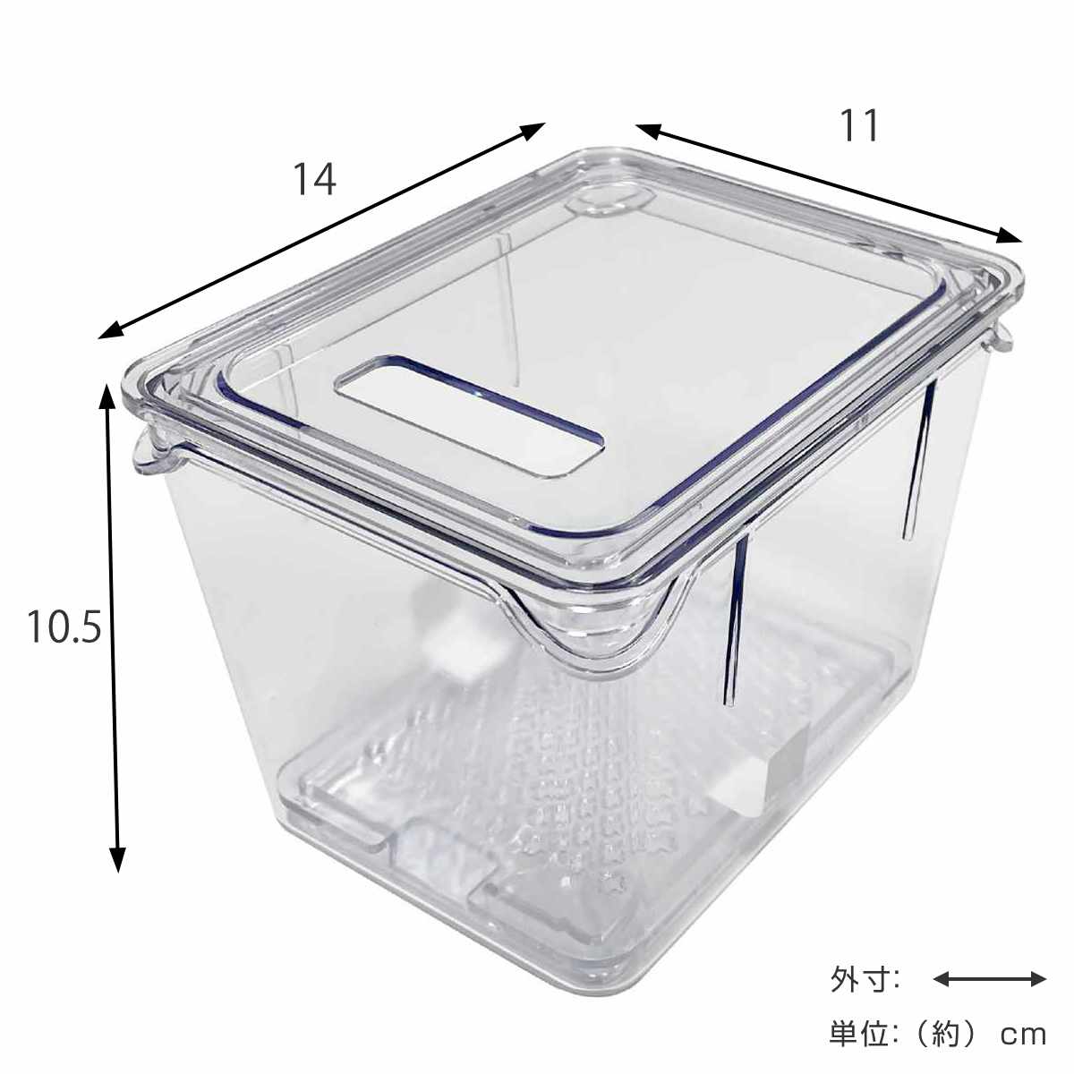 保存容器 すのこ付き 透明 野菜保存容器 Sサイズ ( 冷蔵庫収納 冷蔵庫 収納ケース トレー 深型 日本製 BPAフリー 蓋付き スタッキング 食品保存 水切り ストッカー 冷蔵室 野菜室 整理 すのこ 中が見える プラスチック )