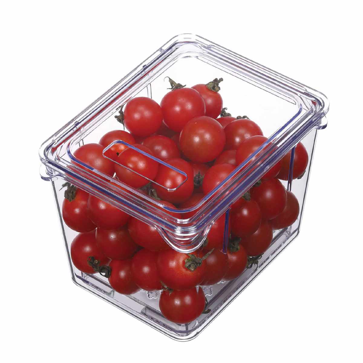 保存容器 すのこ付き 透明 野菜保存容器 Sサイズ ( 冷蔵庫収納 冷蔵庫 収納ケース トレー 深型 日本製 BPAフリー 蓋付き スタッキング 食品保存 水切り ストッカー 冷蔵室 野菜室 整理 すのこ 中が見える プラスチック )