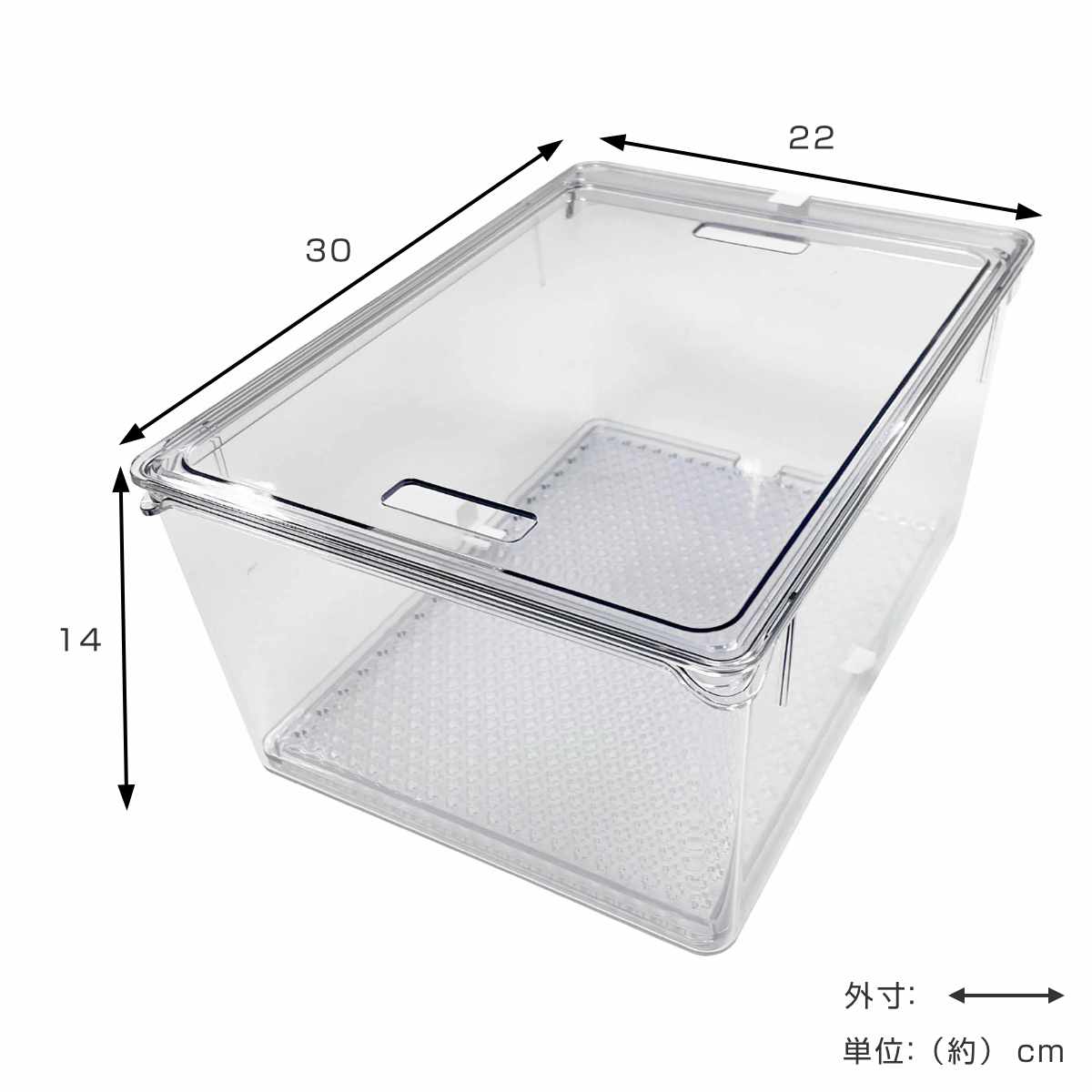 保存容器 すのこ付き 透明 野菜保存容器 Lサイズ ( 冷蔵庫収納 冷蔵庫 収納ケース トレー 深型 日本製 BPAフリー 蓋付き スタッキング 食品保存 水切り ストッカー 冷蔵室 野菜室 整理 すのこ 中が見える プラスチック )